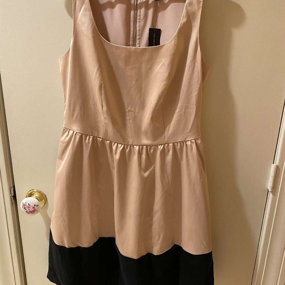 The Limited Blush Pink with black Faux Suede Dress NWT